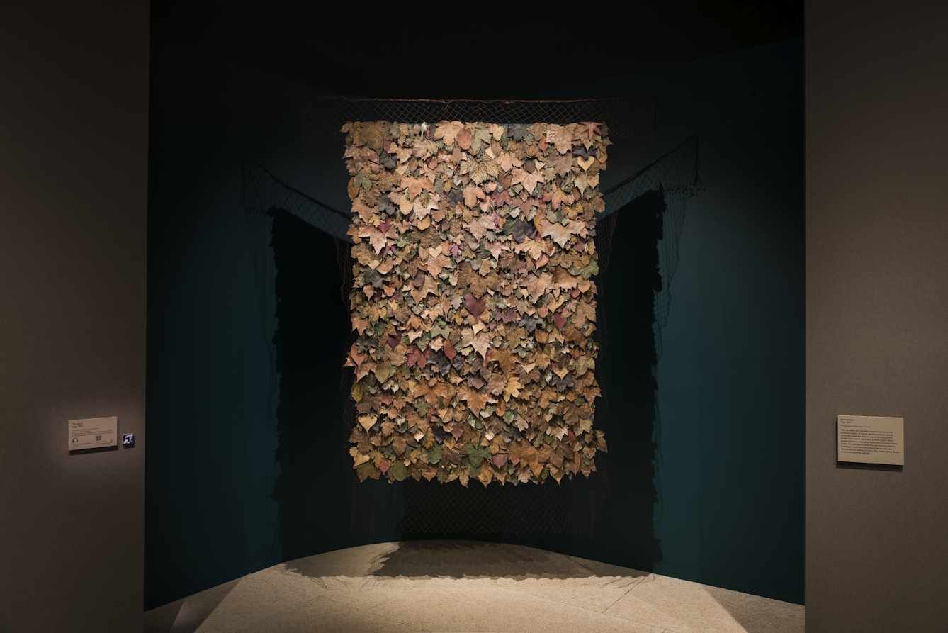Photograph of a “portable den” artwork consisting of a large hanging rectangle of leaves each of which has a drawn motif.