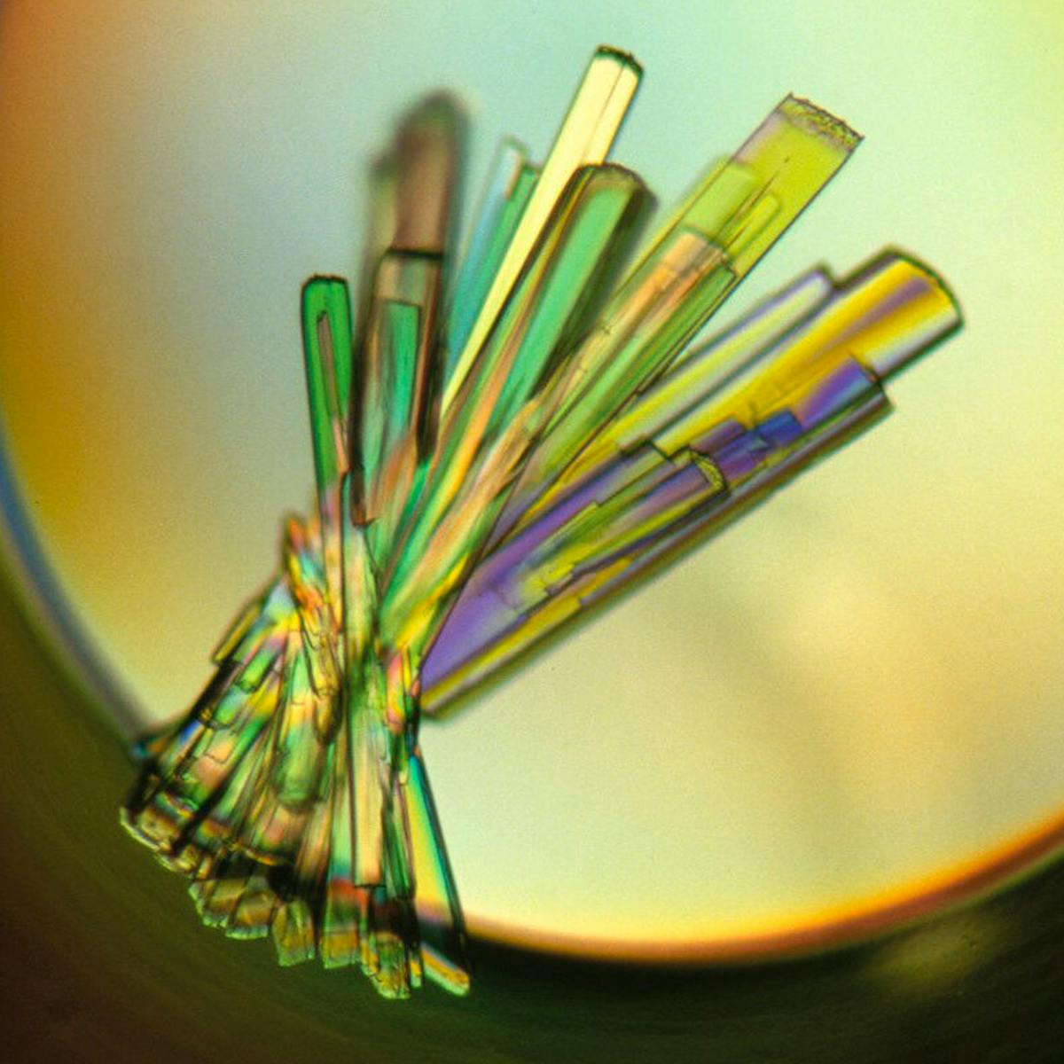 An image generated by a process called X-ray crystallography, the image shows a spiked crystalline formation which appears backlit with multicoloured light.