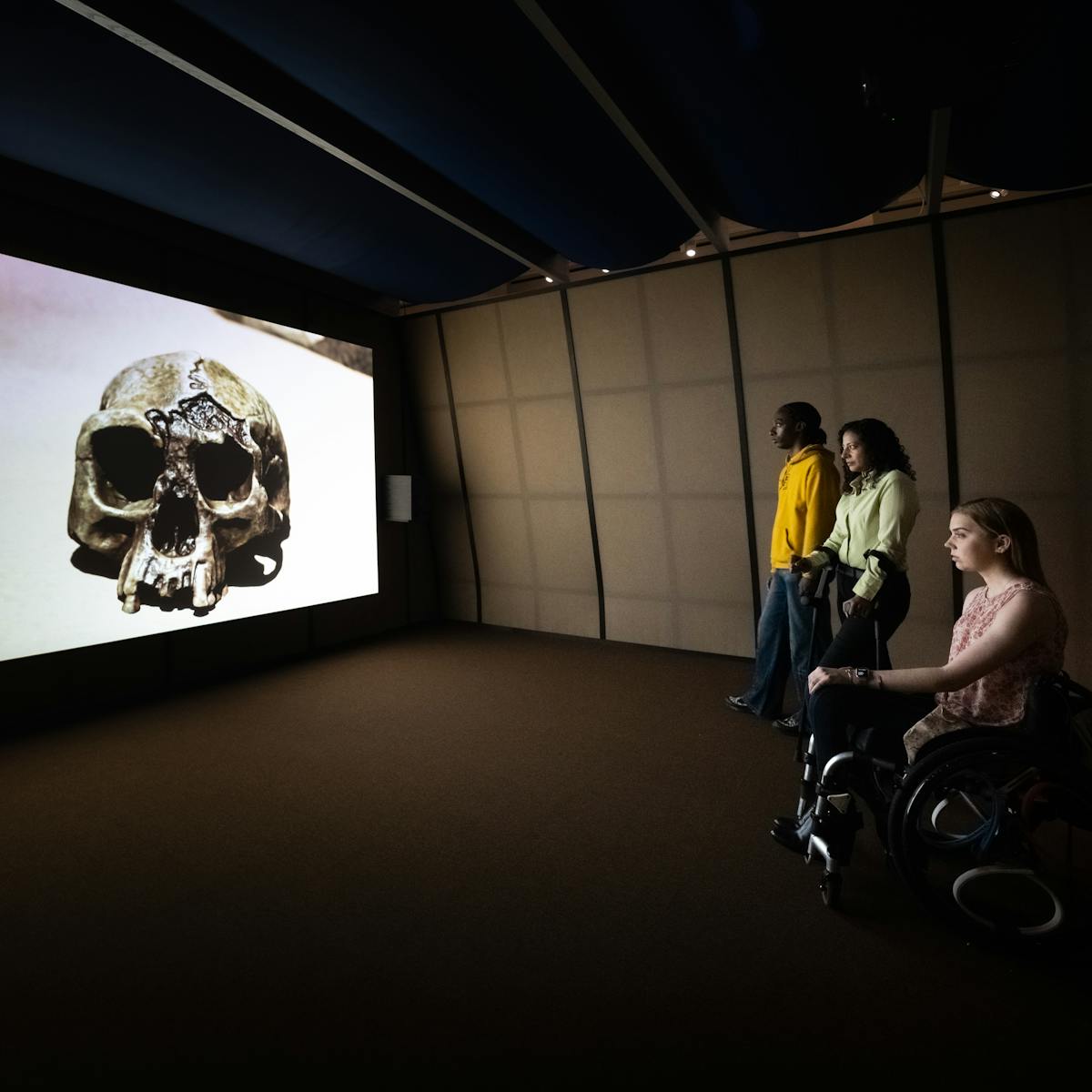 Photograph of a dark exhibition space featuring a projected video on a large screen. The walls of the room slope inwards and are criss-cross of black wooden battens on grey fabric. The ceiling is a blue cloth draped over several cross joists. To the left the video shows a computer generated image of a sandy shoreline on which a large human skull sits, bathed in sunlight. To the right 3 visitors watch the film. Closest to the camera is a young woman seated in a wheelchair, her hand resting on her knee. Stood next to her is a woman in a green shirt who is using crutches. At the far end stands an individual in a yellow hooded top and blue jeans.