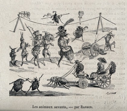 Animals, including fleas, performing various human activities. Wood engraving by Randon.
