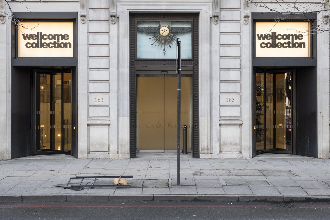 Two revolving doors with an accessible door in between them for entrance to Wellcome Collection museum.